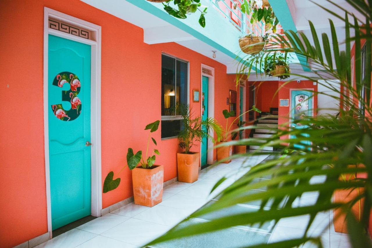 Flamingo Hostel & Coworking - Santa Marta (Magdalena) — Photos 2